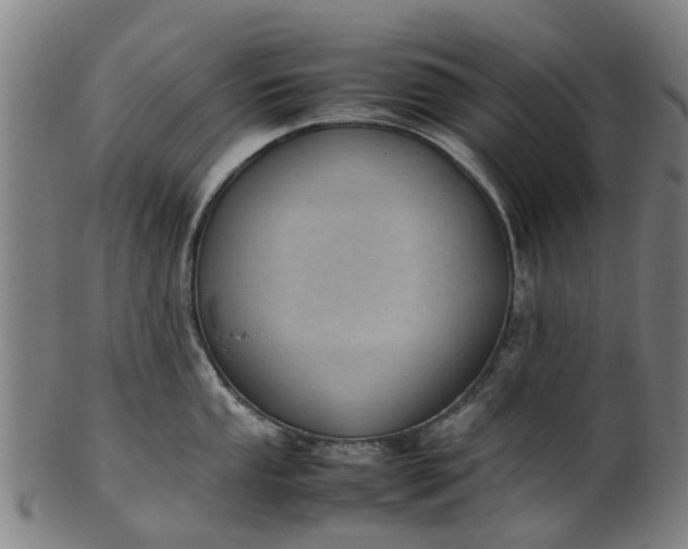 X0000101661053200807241413