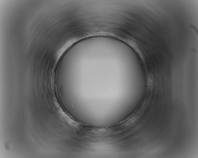 X0000101661054200807241413