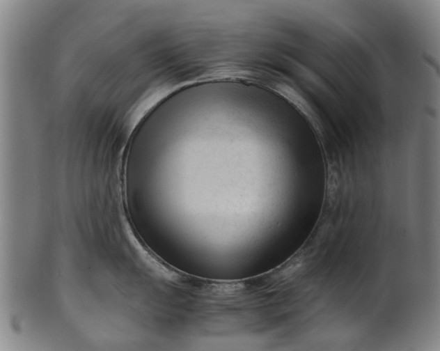 X0000101661055200807241413