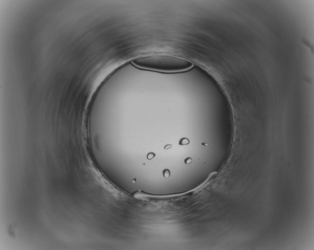 X0000101661056200807241413