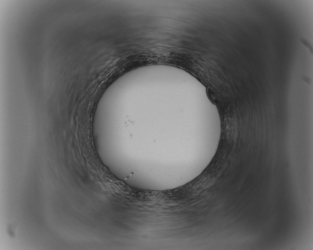 X0000101661057200807241412