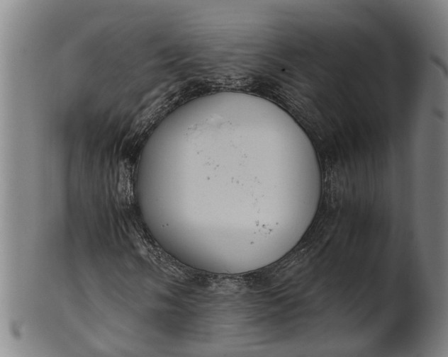 X0000101661058200807241412