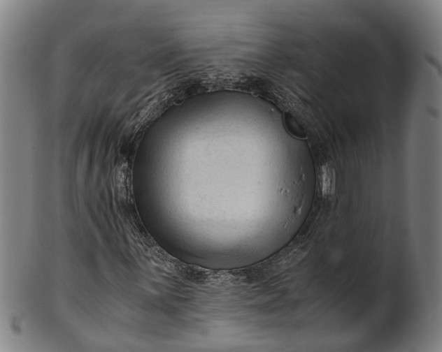 X0000101661059200807241412