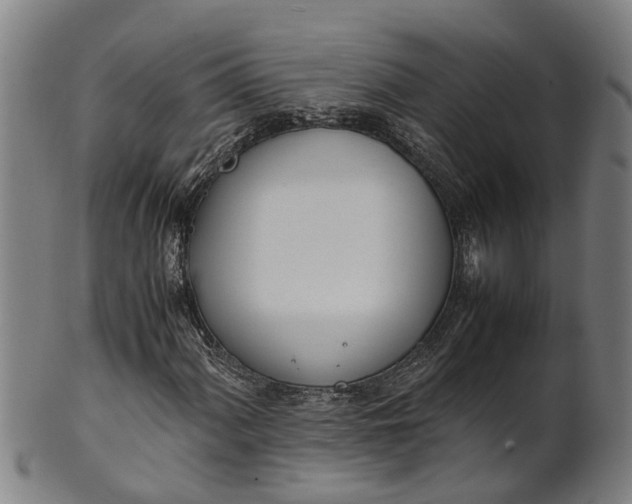 X0000101661060200807241412