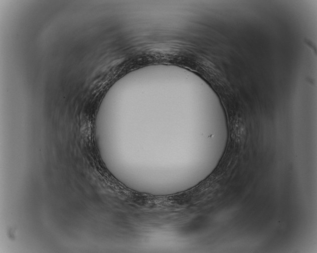 X0000101661061200807241412