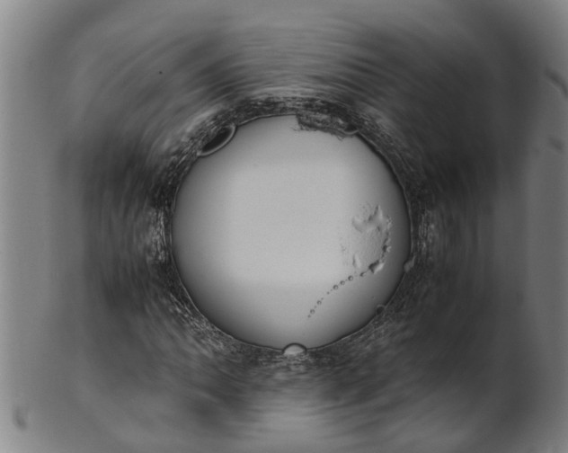 X0000101661062200807241412