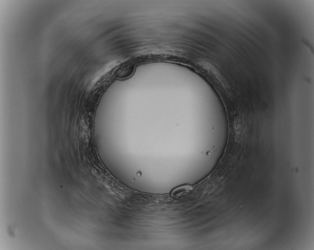 X0000101661064200807241412