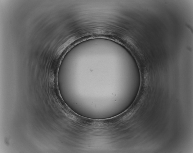 X0000101661065200807241412