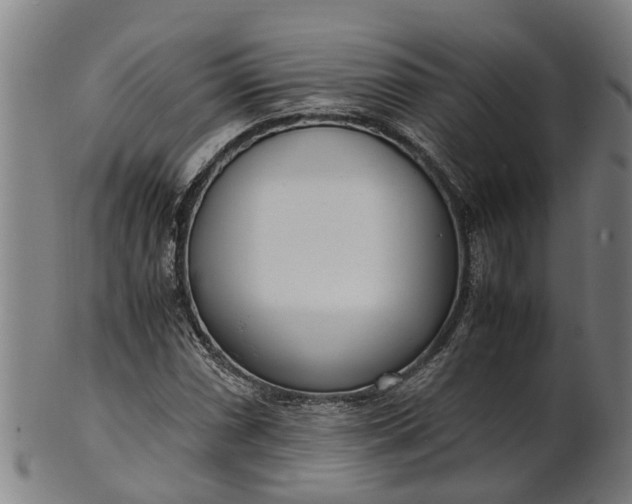 X0000101661066200807241412