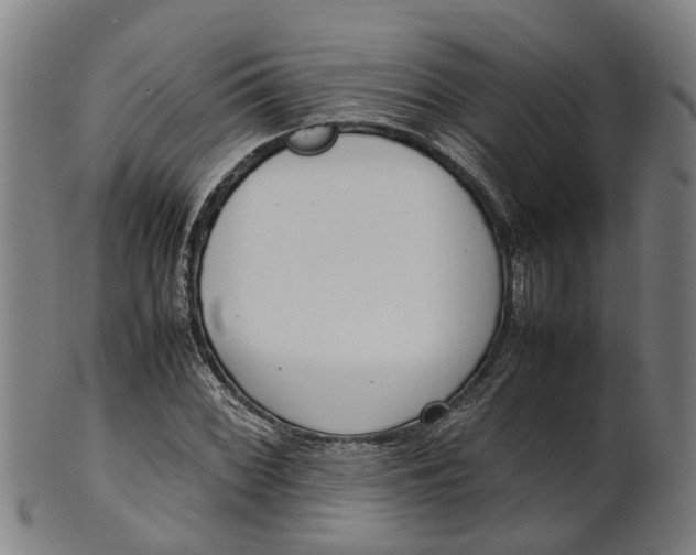 X0000101661068200807241412