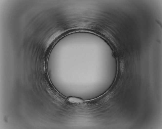 X0000101661069200807241412