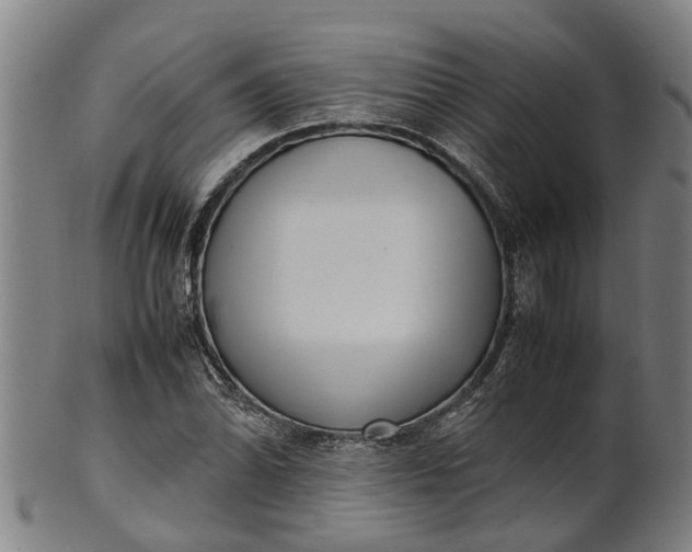 X0000101661070200807241412