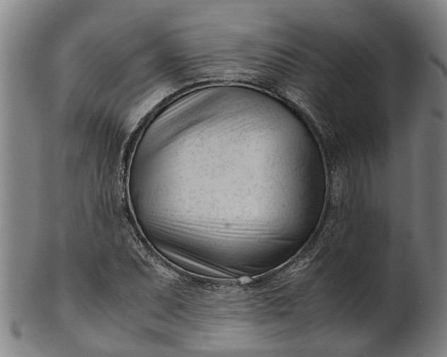 X0000101661071200807241412