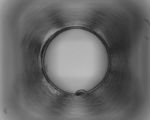 X0000101661072200807241412