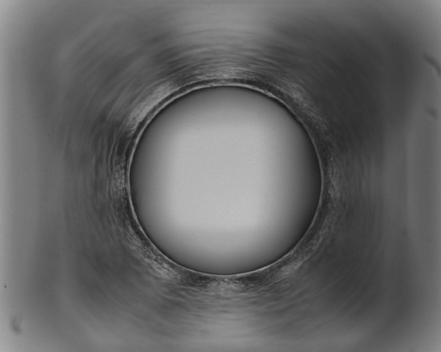 X0000101661073200807241412