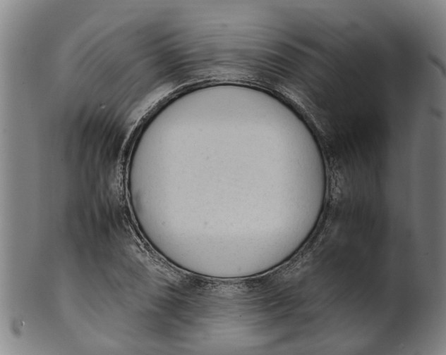 X0000101661074200807241412