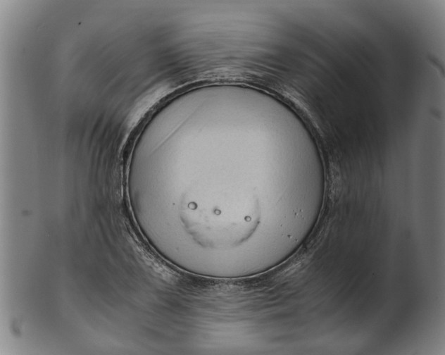 X0000101661075200807241412