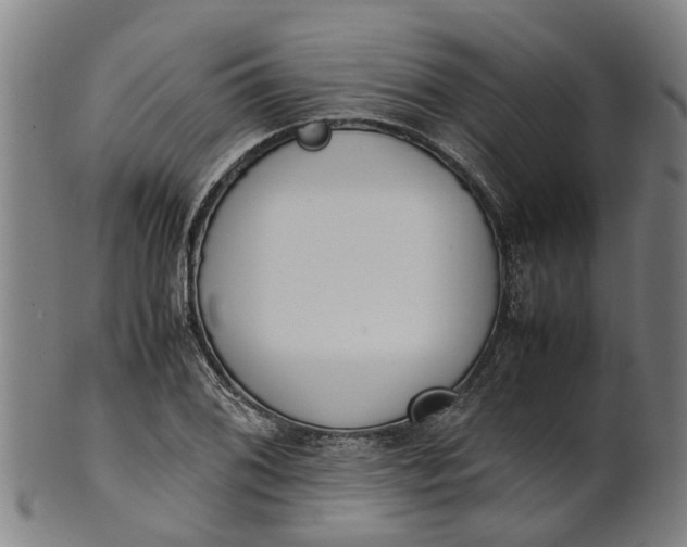 X0000101661076200807241412