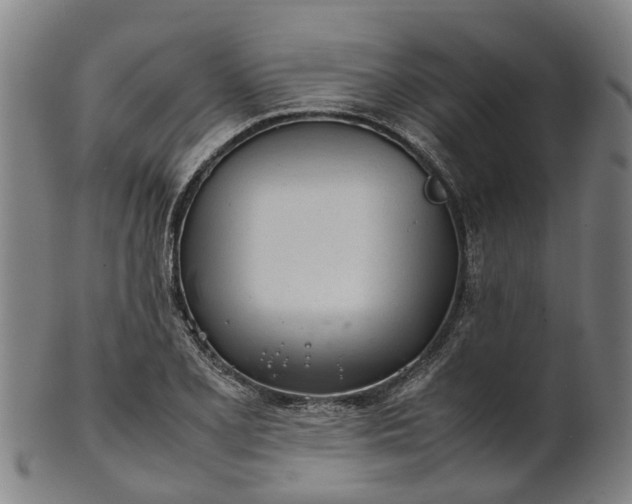 X0000101661077200807241412