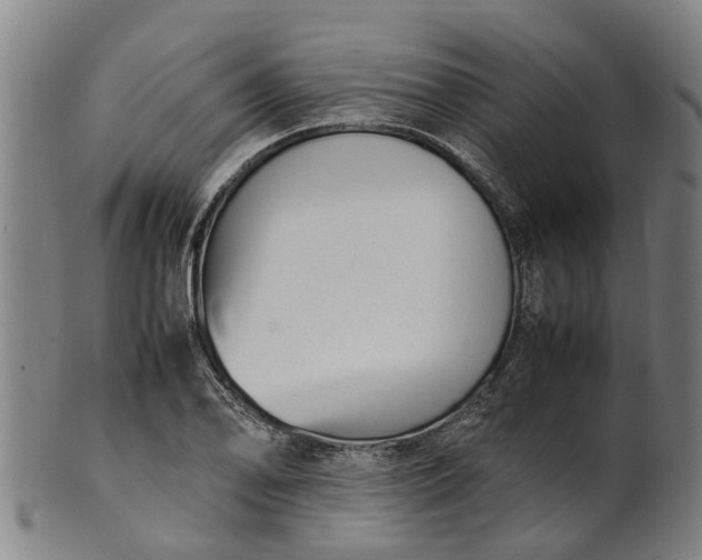 X0000101661078200807241412