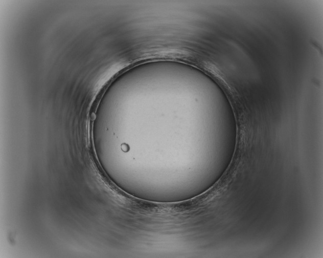 X0000101661079200807241412