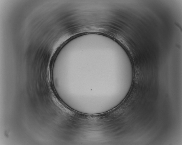 X0000101661080200807241412