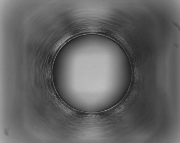 X0000101661081200807241412