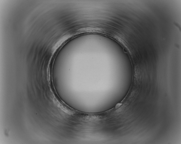 X0000101661082200807241412