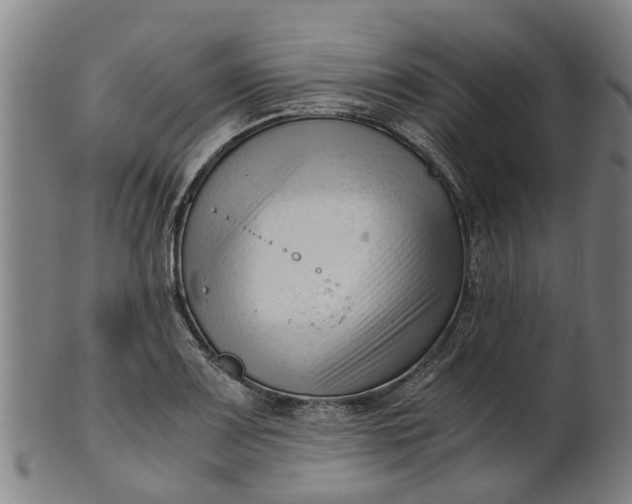 X0000101661083200807241412