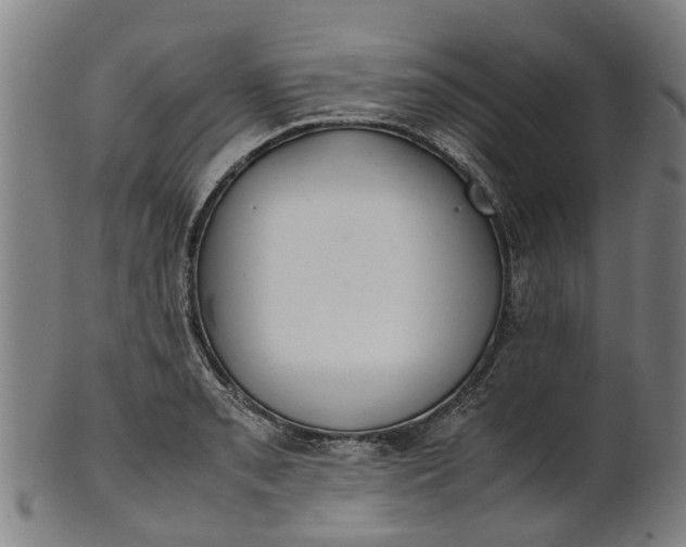 X0000101661085200807241412