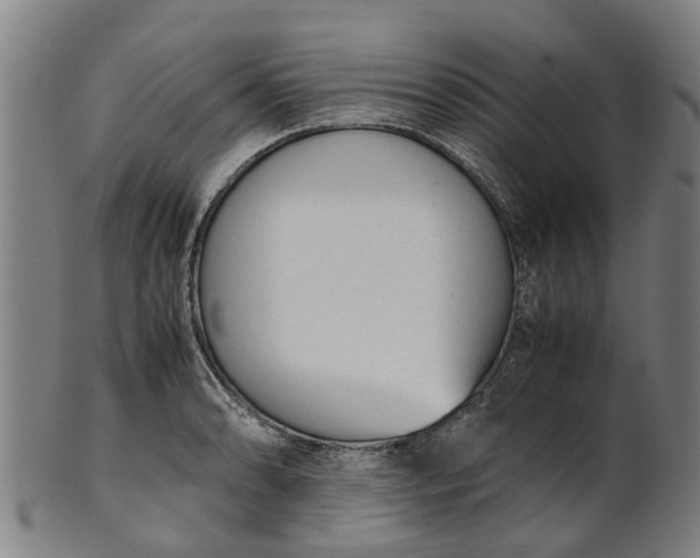 X0000101661086200807241412