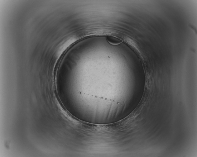 X0000101661087200807241412