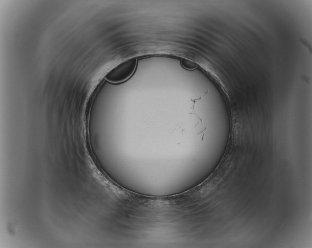 X0000101661088200807241412