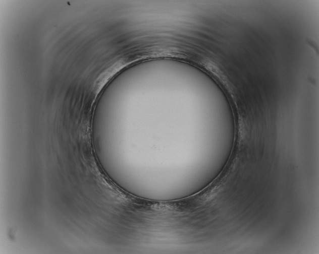 X0000101661089200807241412