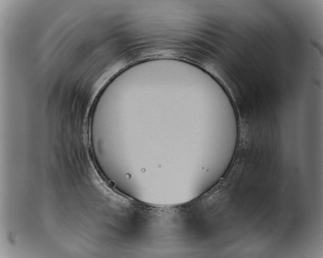 X0000101661090200807241412