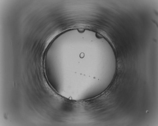 X0000101661091200807241412