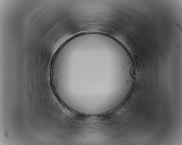 X0000101661093200807241412