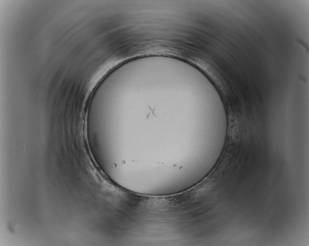 X0000101661094200807241412