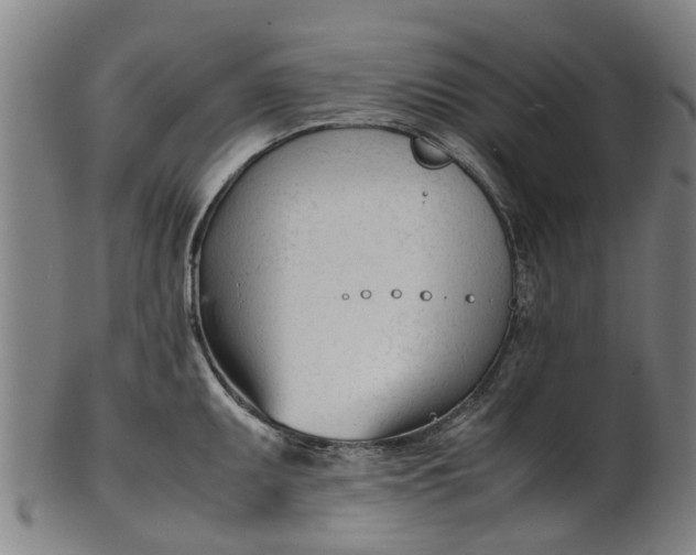 X0000101661095200807241412