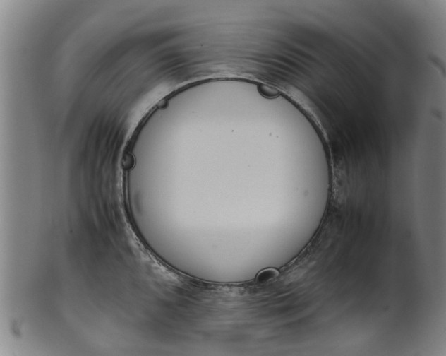 X0000101661096200807241412