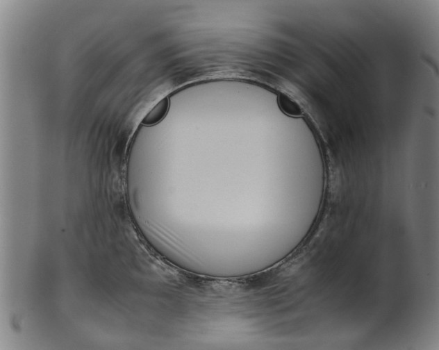 X0000101661097200807241412