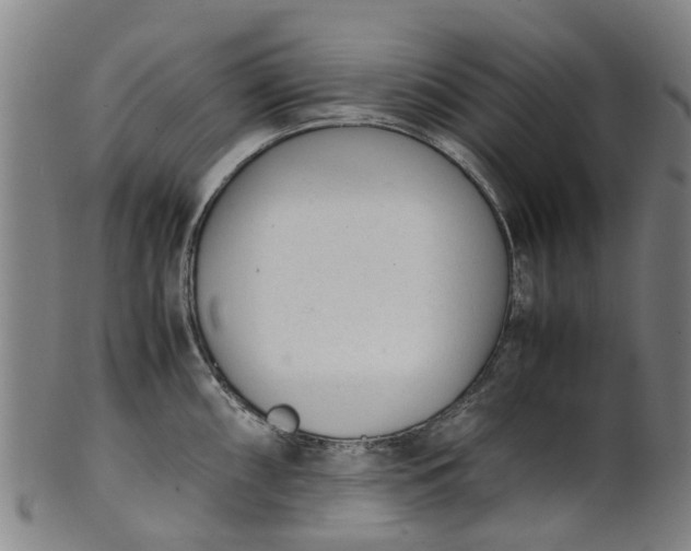 X0000101661098200807241412