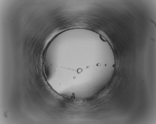 X0000101661099200807241412