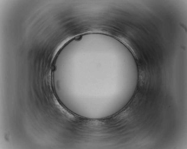 X0000101661100200807241412