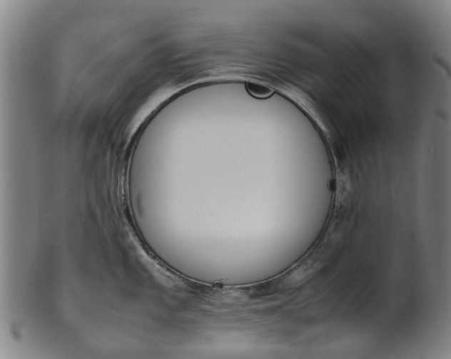 X0000101661101200807241412