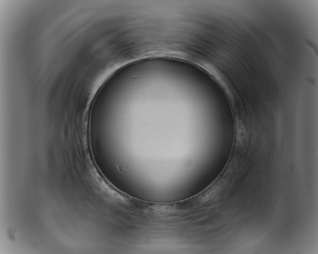 X0000101661102200807241412