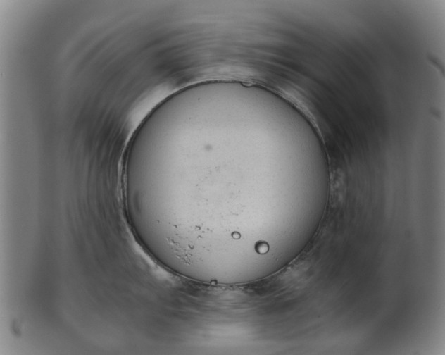 X0000101661103200807241412