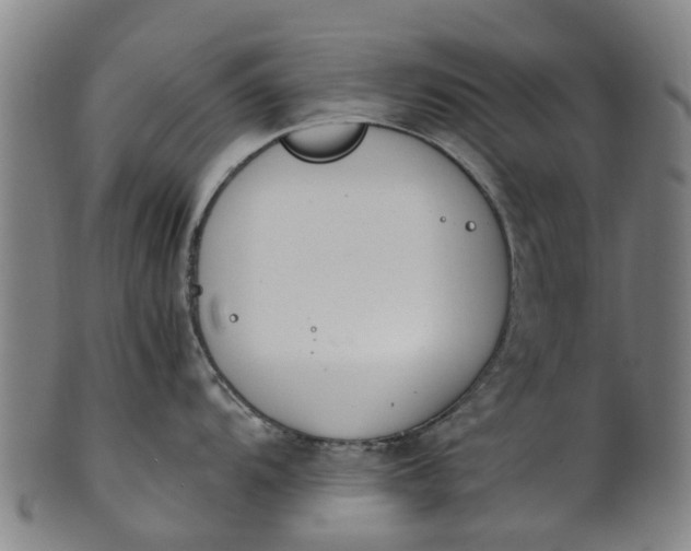 X0000101661104200807241412