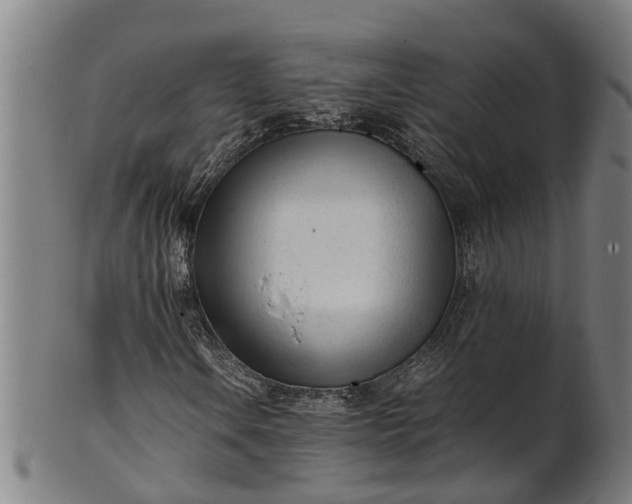 X0000101661106200807241411