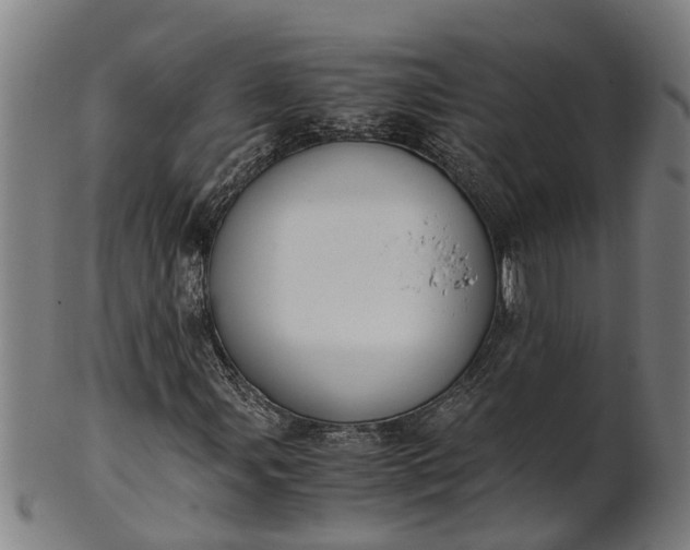 X0000101661107200807241411